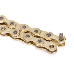 BSD Forever Regular Chain Gold